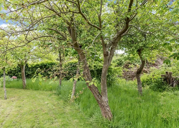 1069-stege-ulvshalevej-124